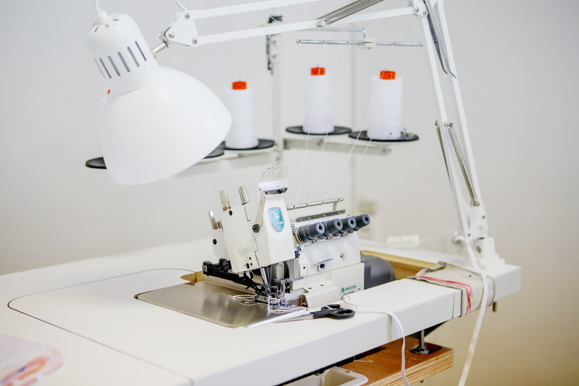 c-R486586_378089_20190208_13778-1